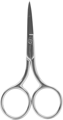 Silver essential scissor